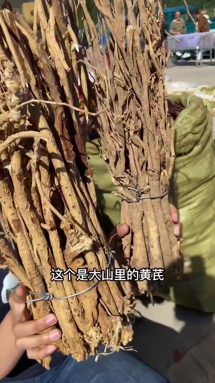 山货有哪些都什么是山货