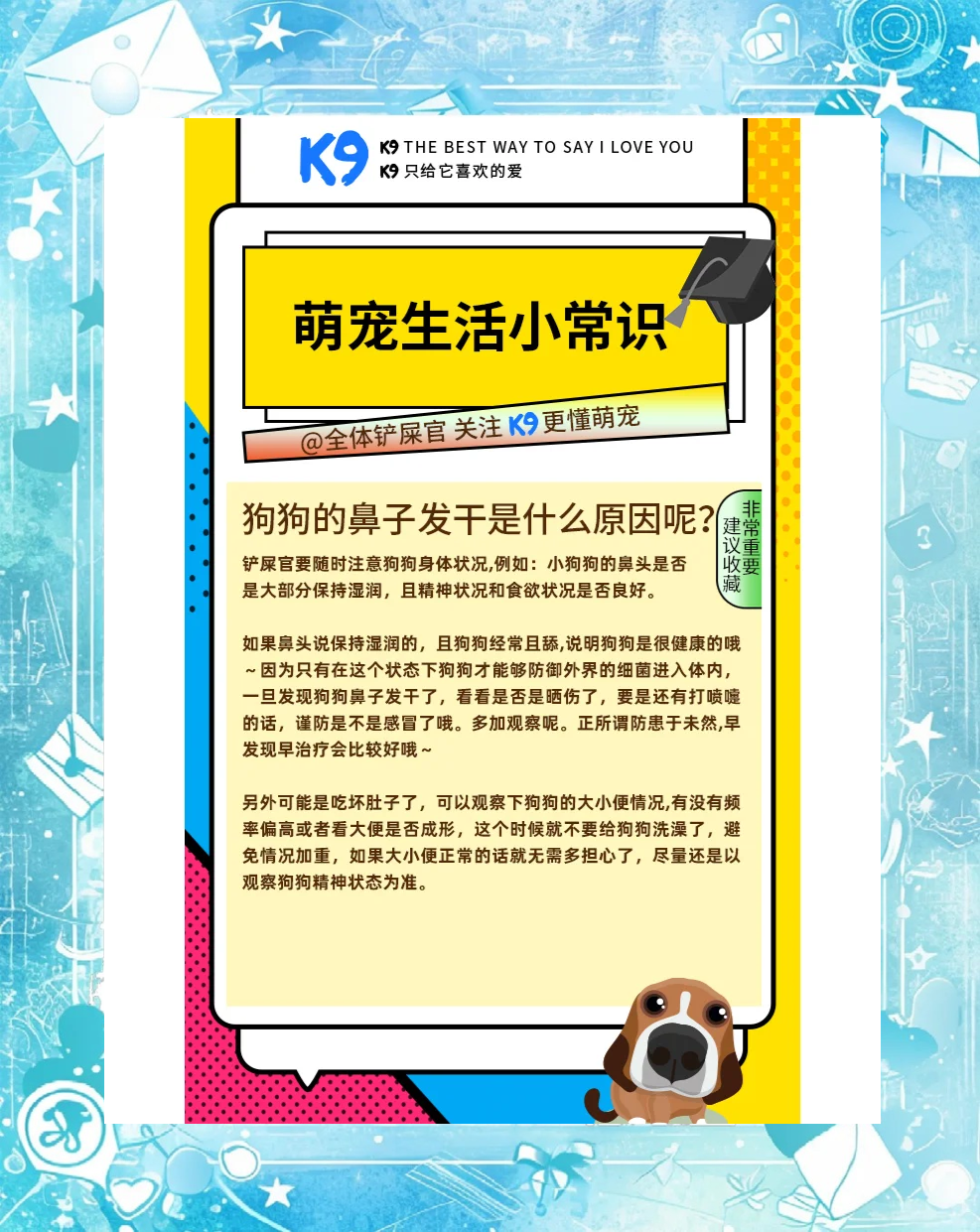 关于狗狗鼻子的一些小知识