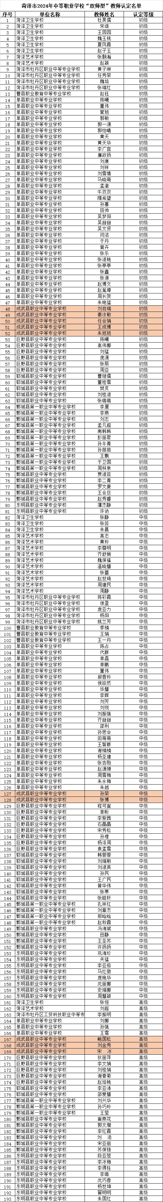 双师型教师是什么意思啊