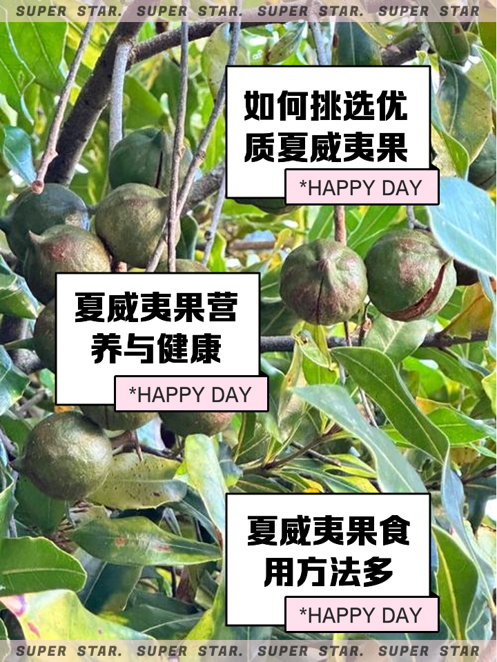 一颗夏威夷果的热量是多少