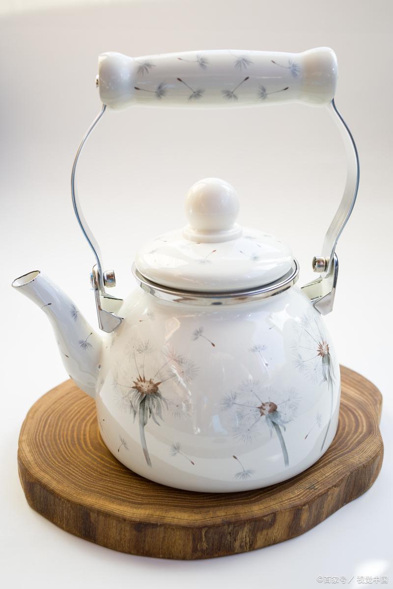 茶壶里煮饺子的歇后语