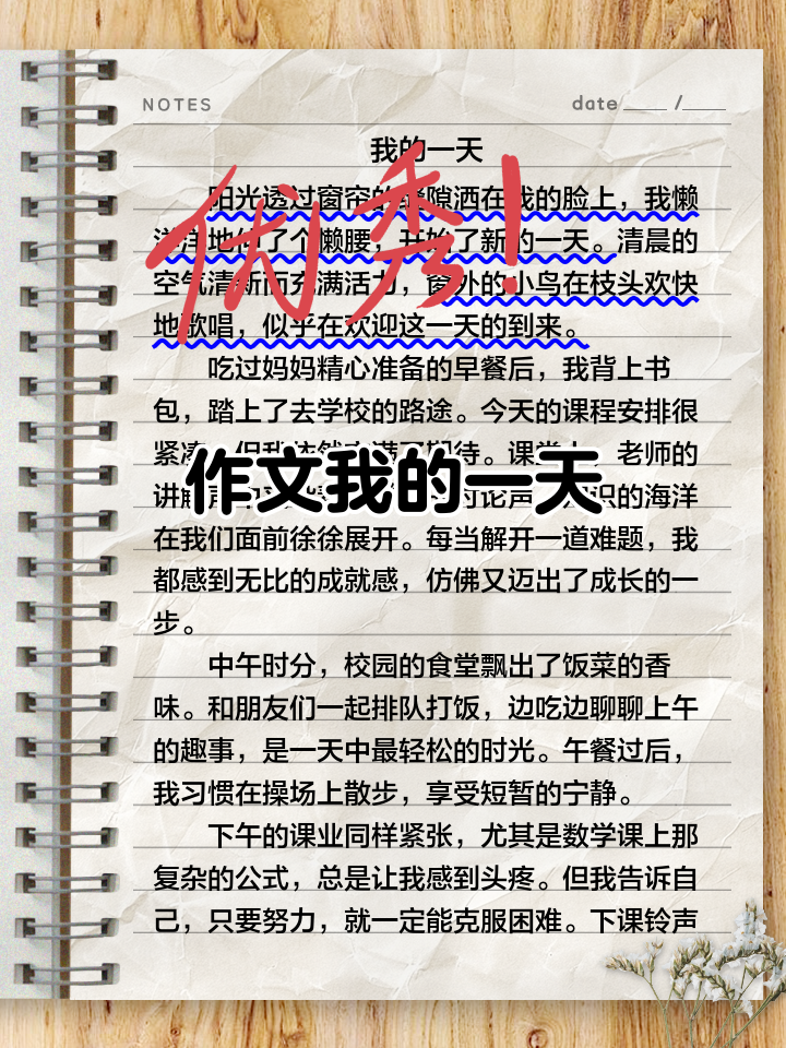 我的一天作文600字初一