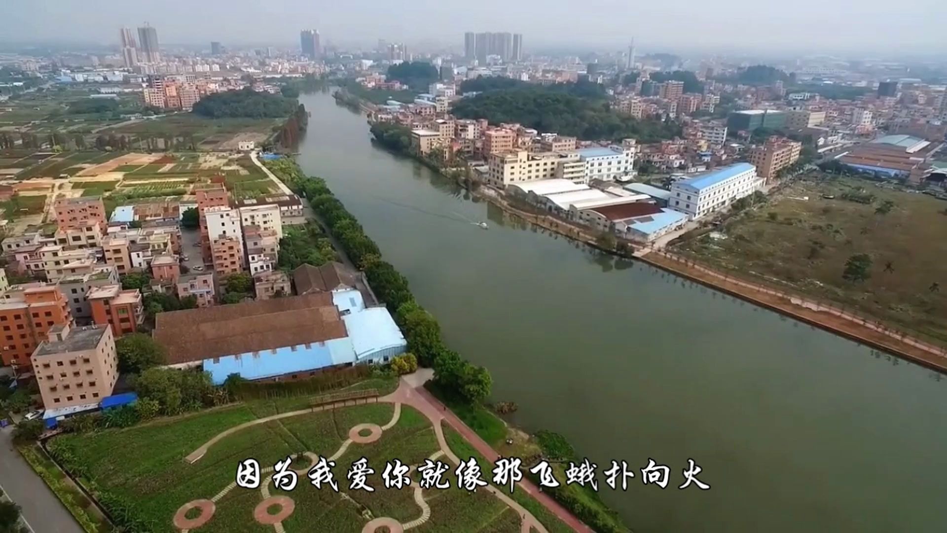 我爱你就像那飞蛾扑向火是哪首歌