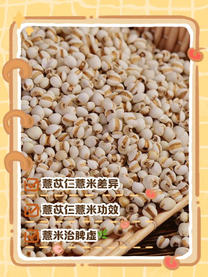 薏米炒熟和生的有什么区别