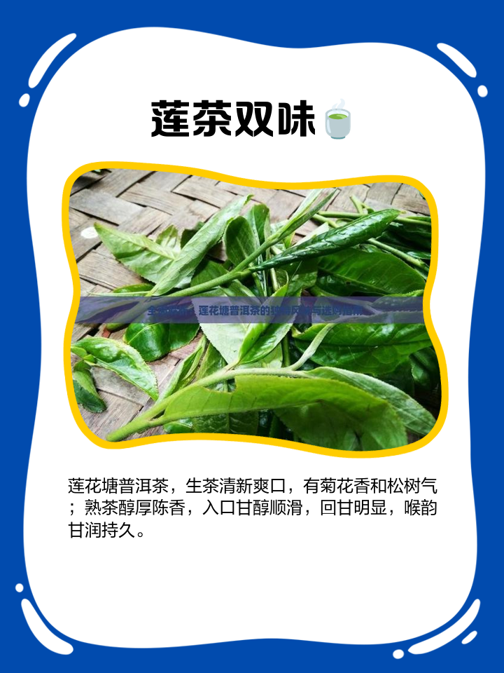 普洱荷叶茶的功效与作用