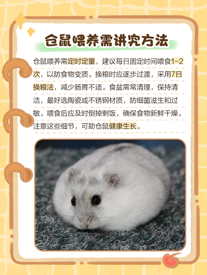 仓鼠养在泥土里会不会臭