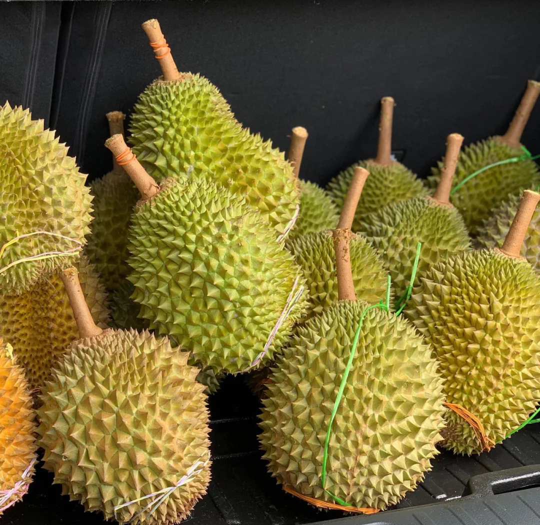 猫山王榴莲和金枕榴莲的区别