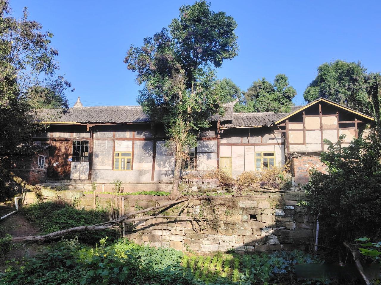 人们常说的窝居是什么意思