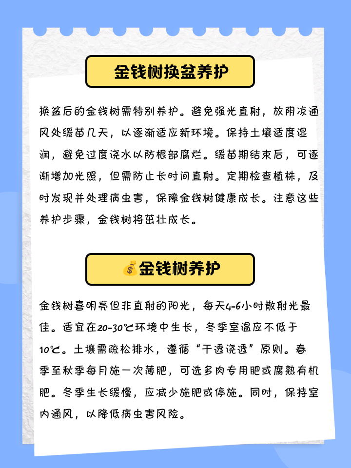 摇钱树的养殖方法和注意事项大全