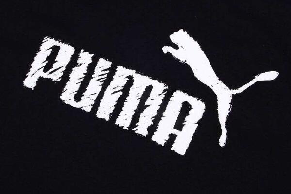 prince是什么意思