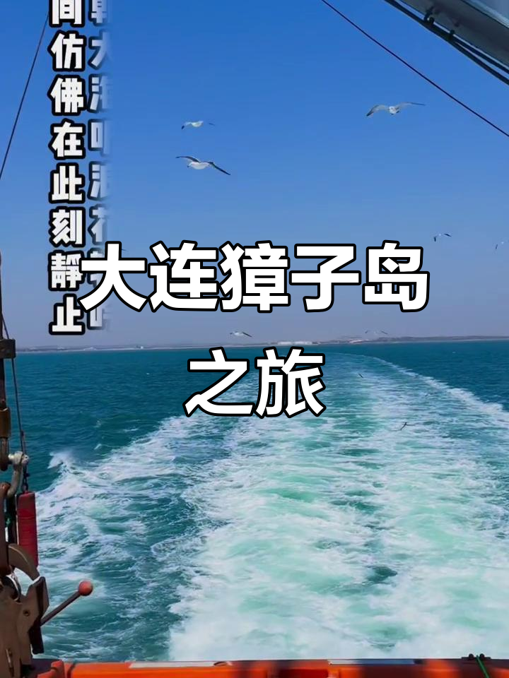 獐岛在哪里獐岛有什么美誉