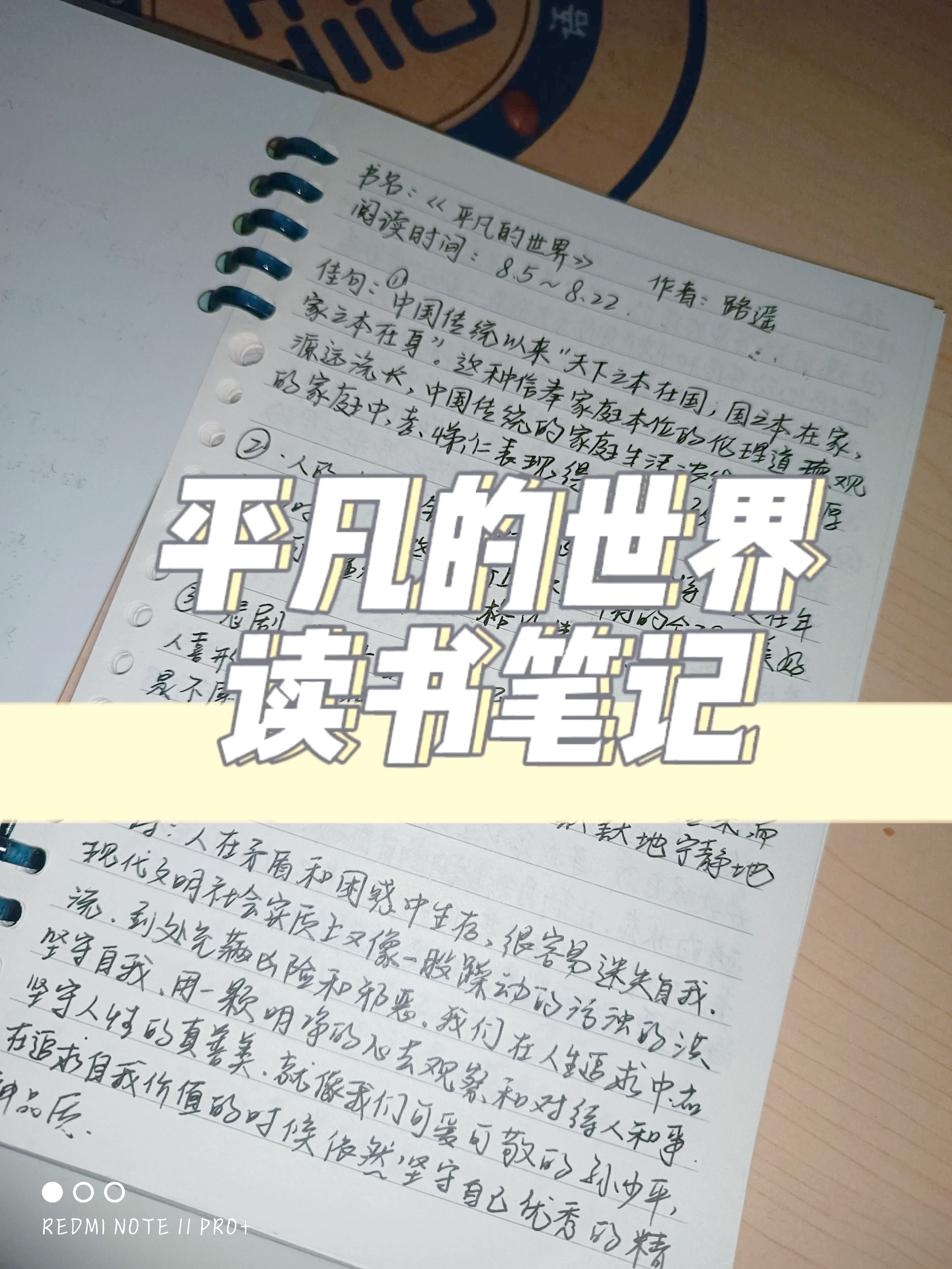 《平凡的世界》读后感【800字】