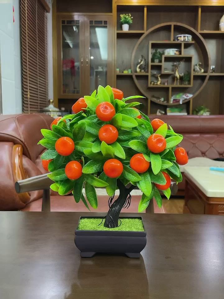 家庭适合养的水果盆栽推荐