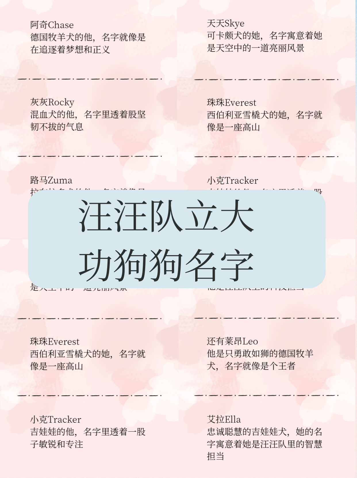 可爱搞笑的狗狗名字大全