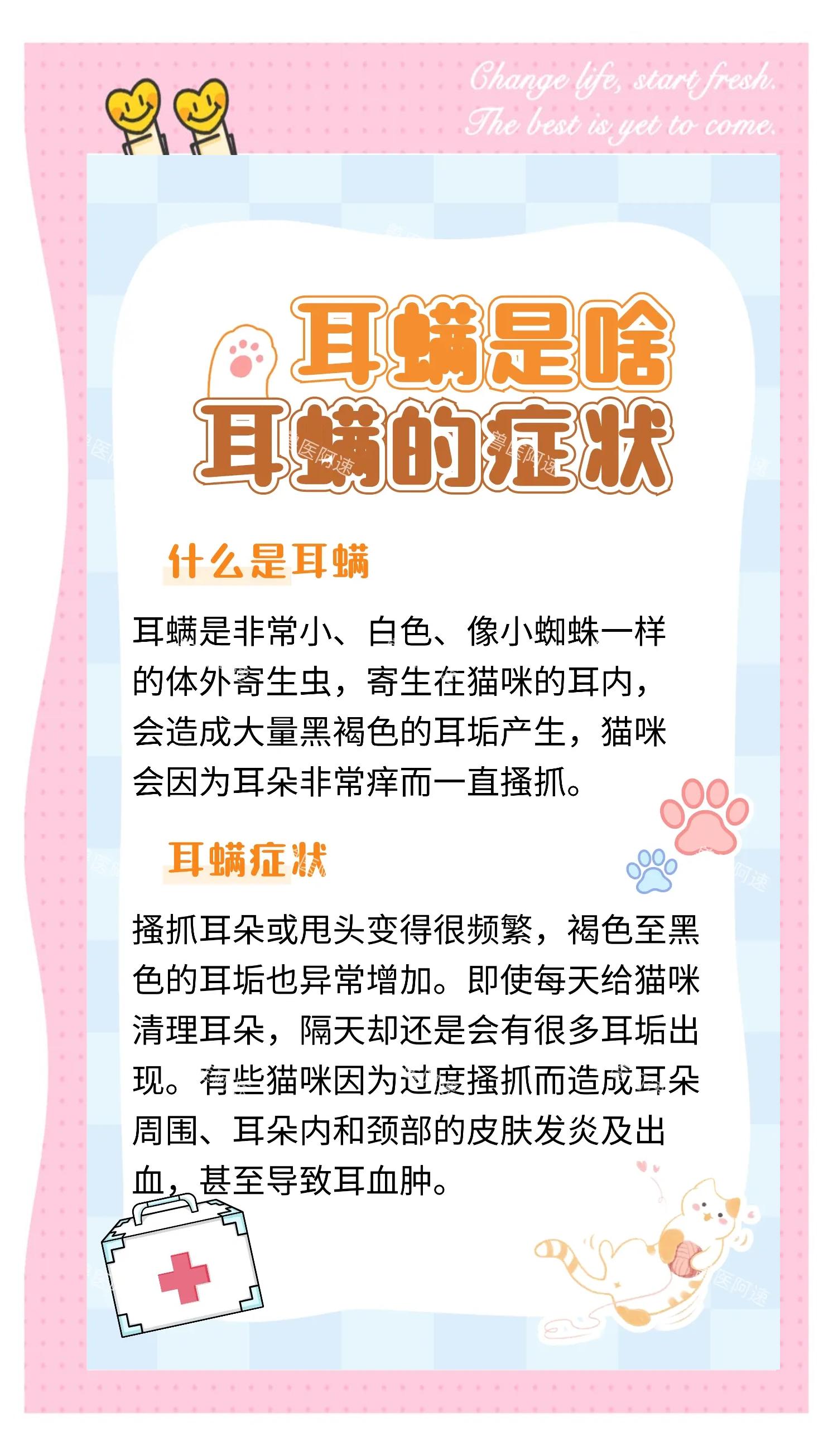 各种动物耳朵的特点和作用