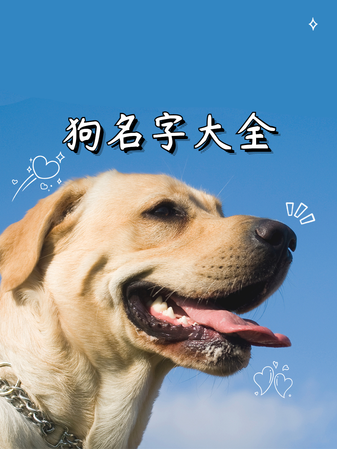 独特好听的小狗名字大全