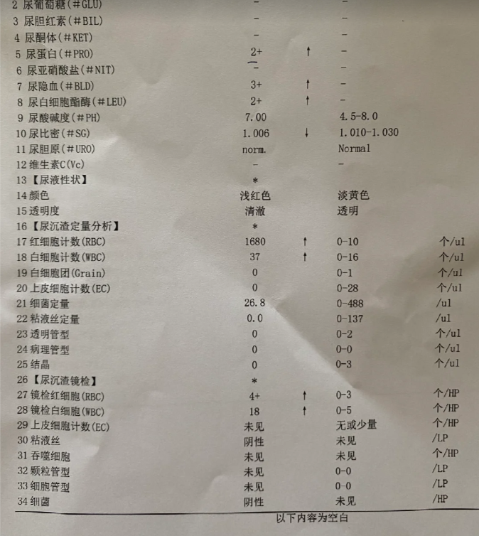 尿检中红细胞偏高的原因