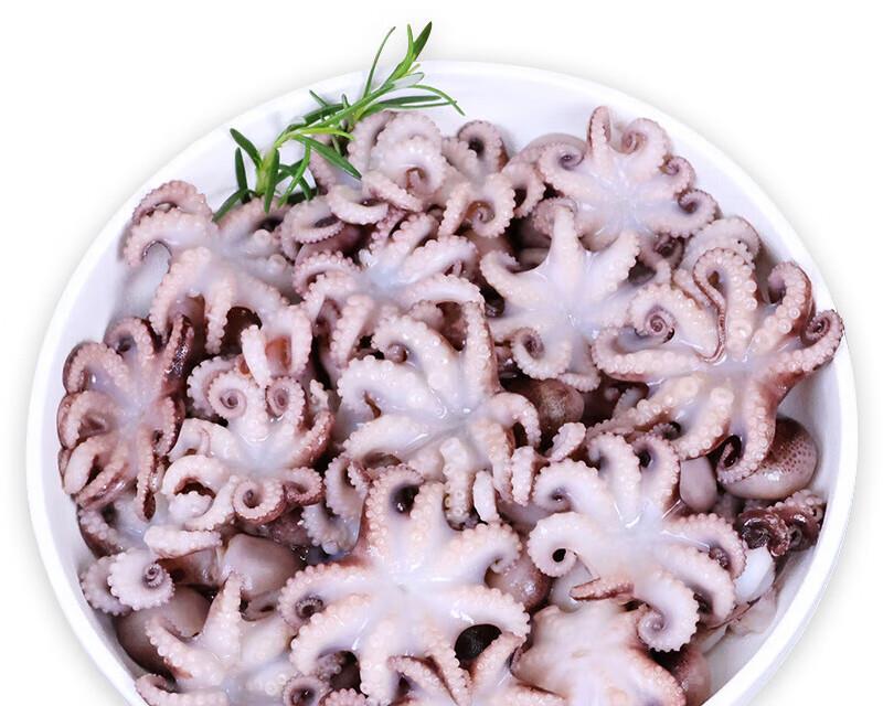 八爪鱼与章鱼有什么区别