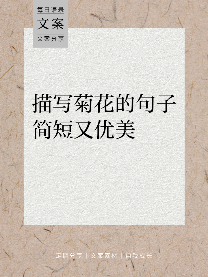 关于芳华的唯美句子大全