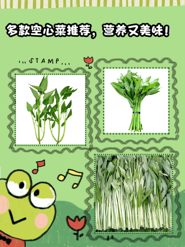 空心菜的食用禁忌空心菜的功效与作用