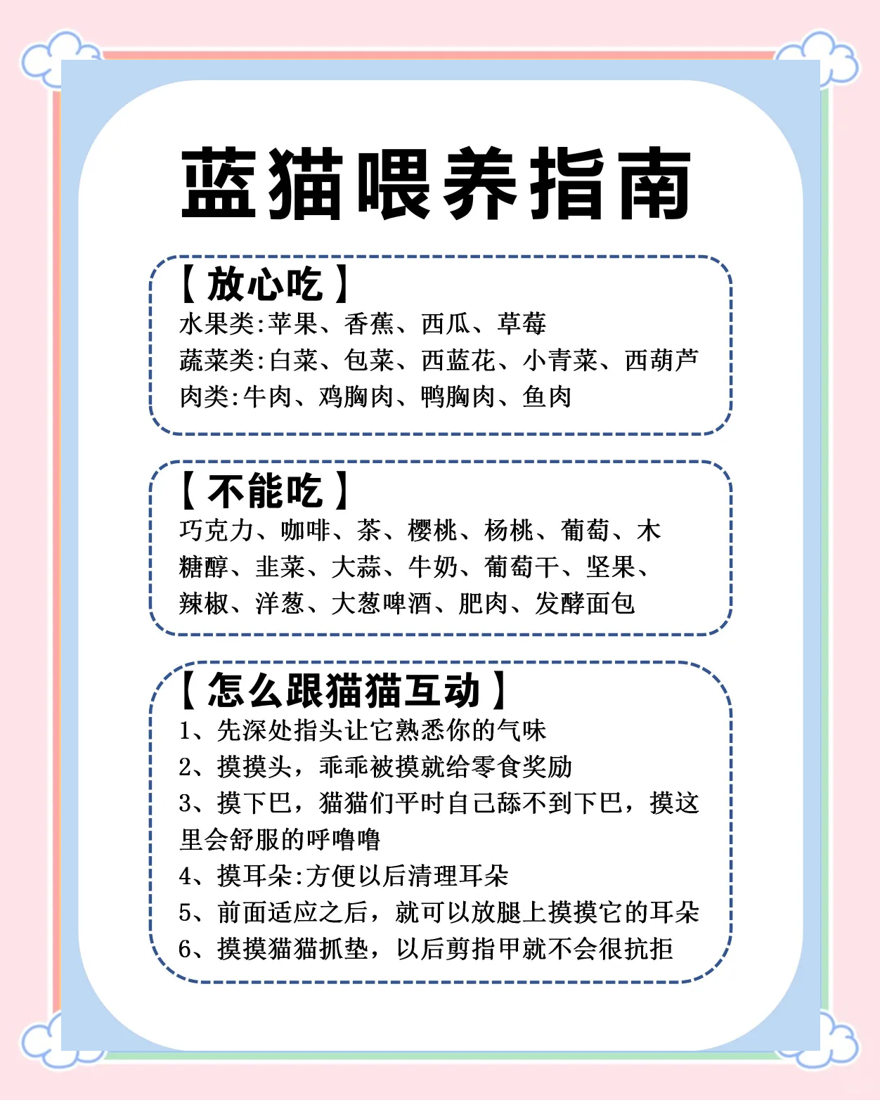 新手怎么喂养两个月的小猫