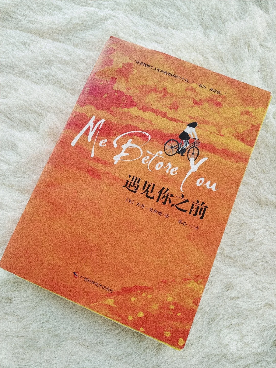 你有你的人生我有我的旅程是什么歌