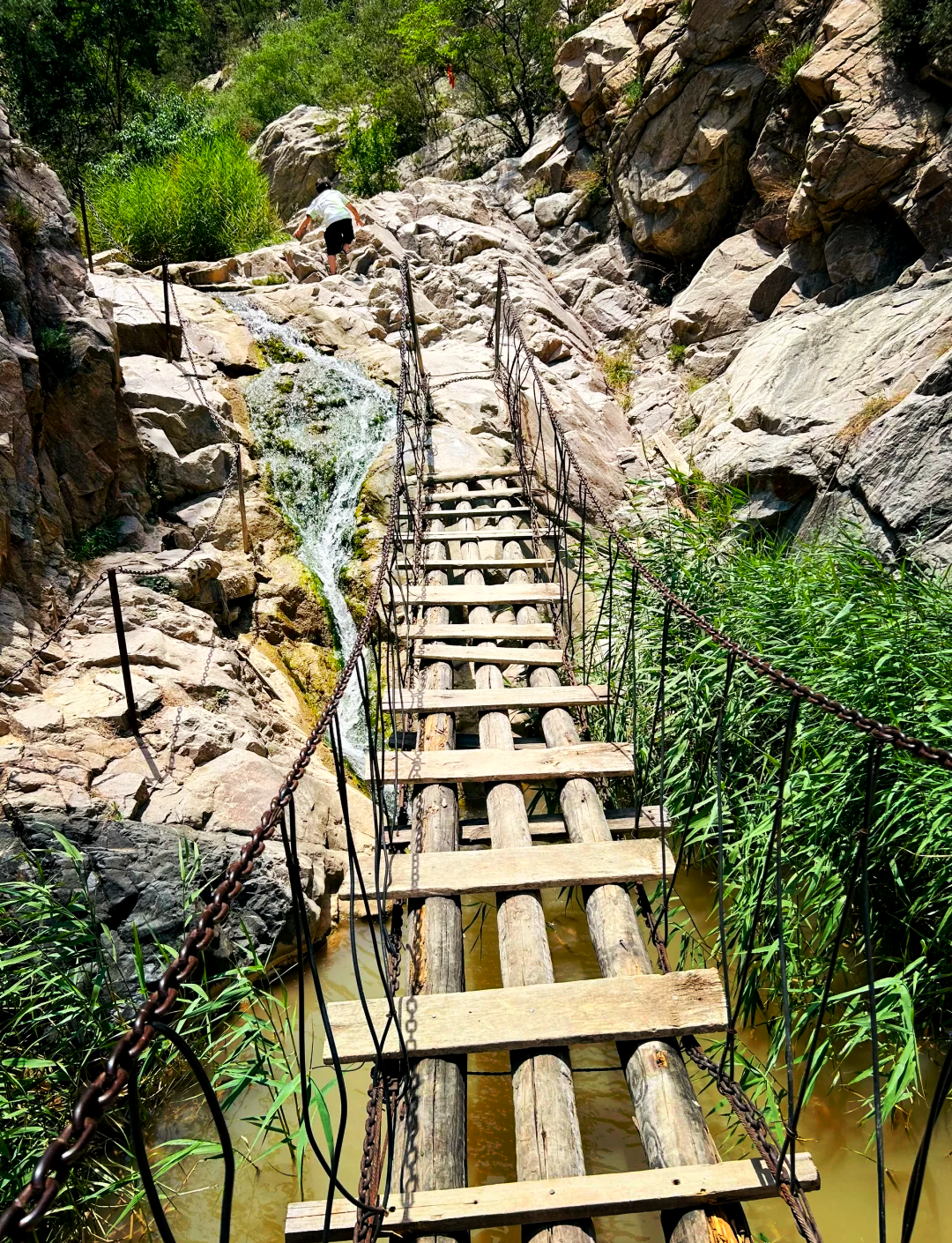 嘉兴的九龙山度假区可以在海边玩吗？