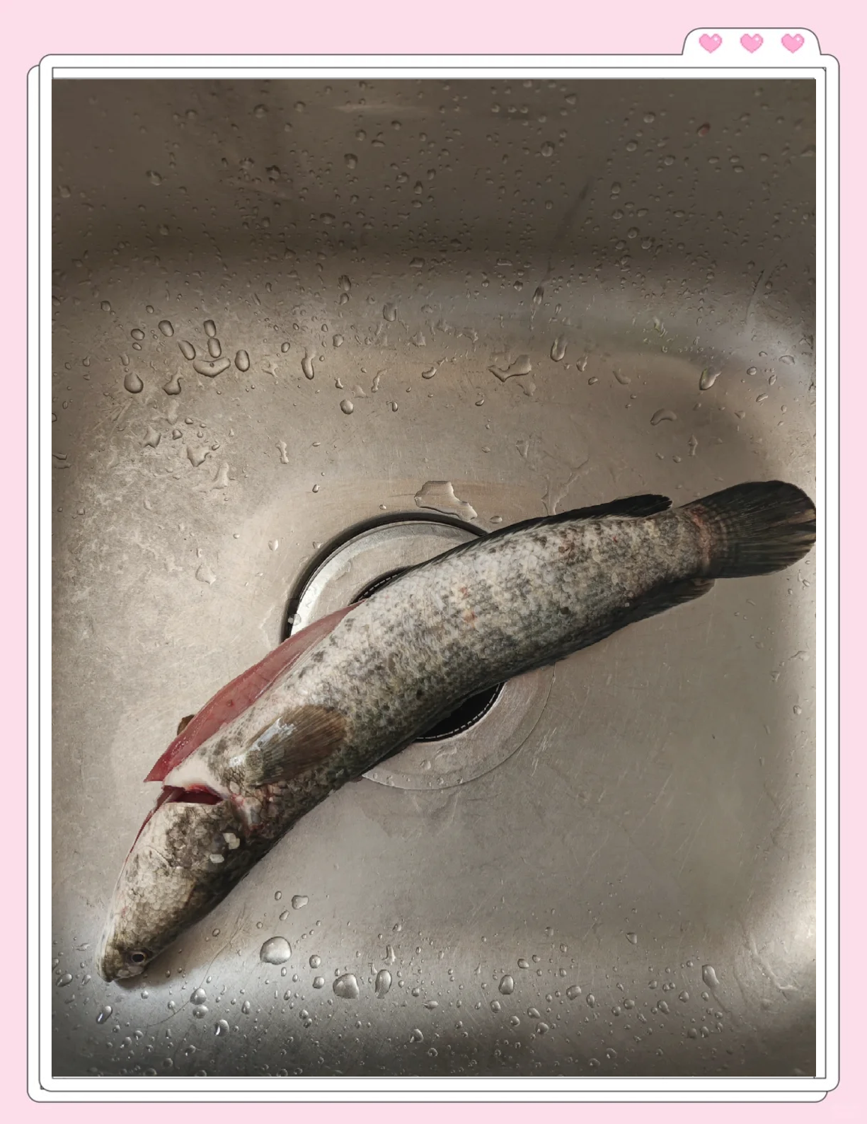 柴鱼汤对伤口愈合做法