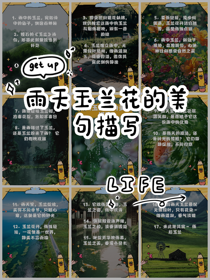 描写玉兰花的句子有哪些