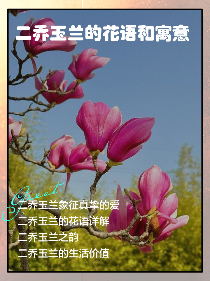 描写玉兰花的句子有哪些