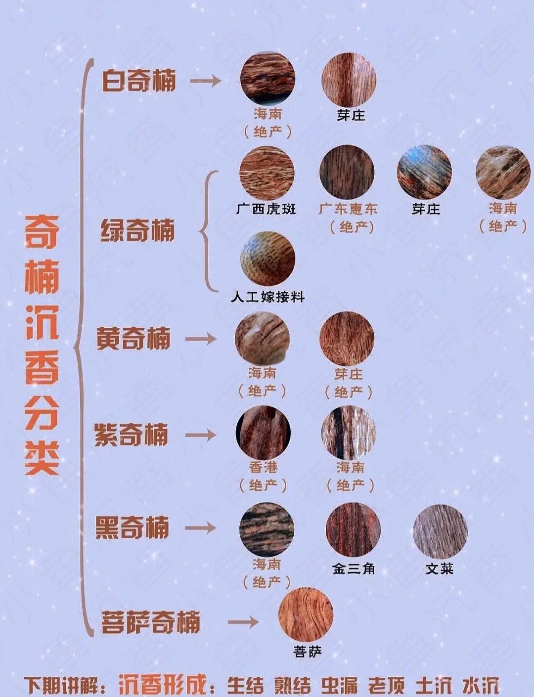 来这里科普沉香种植方法