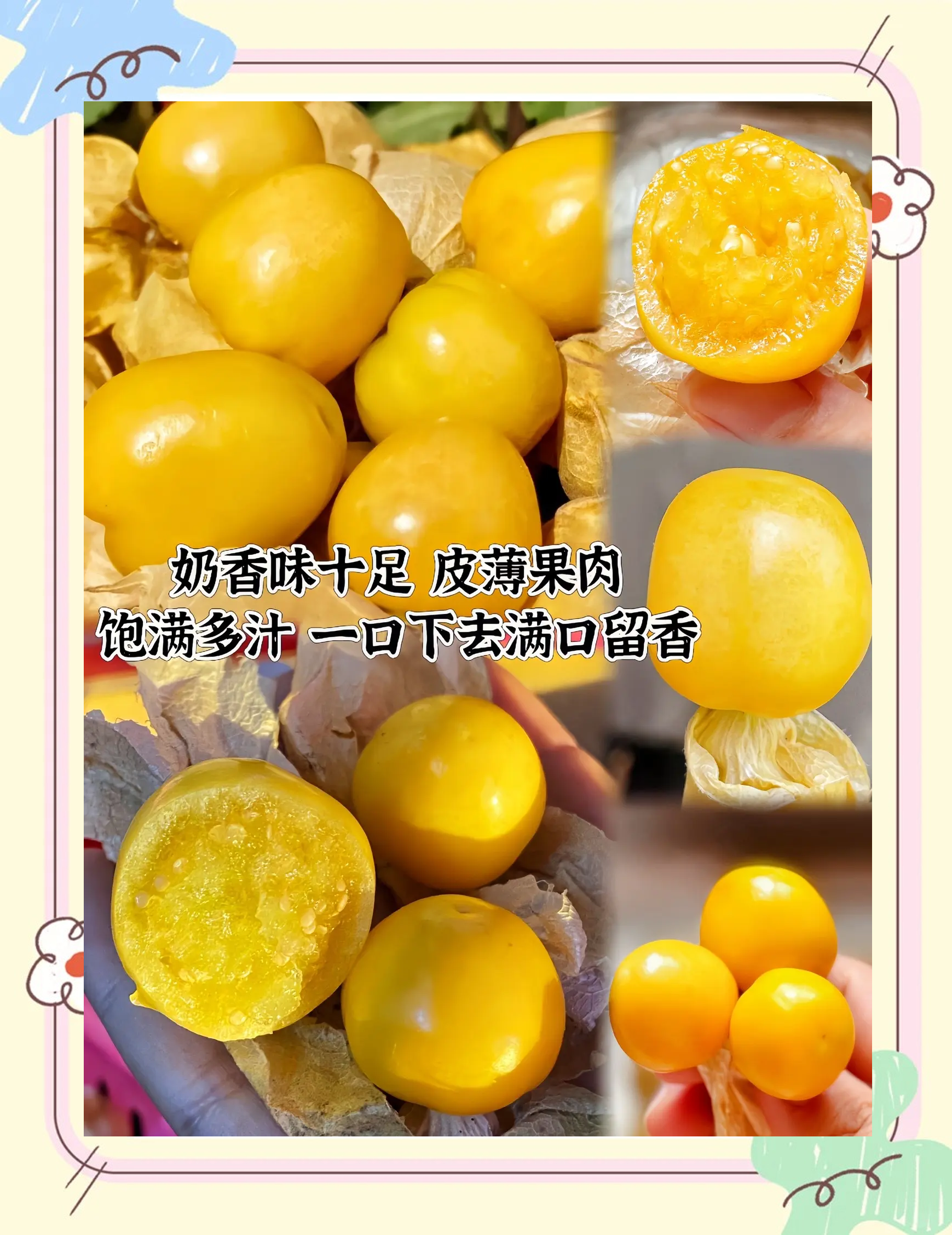 孕妇吃姑娘果好吗孕妇能吃姑娘果吗