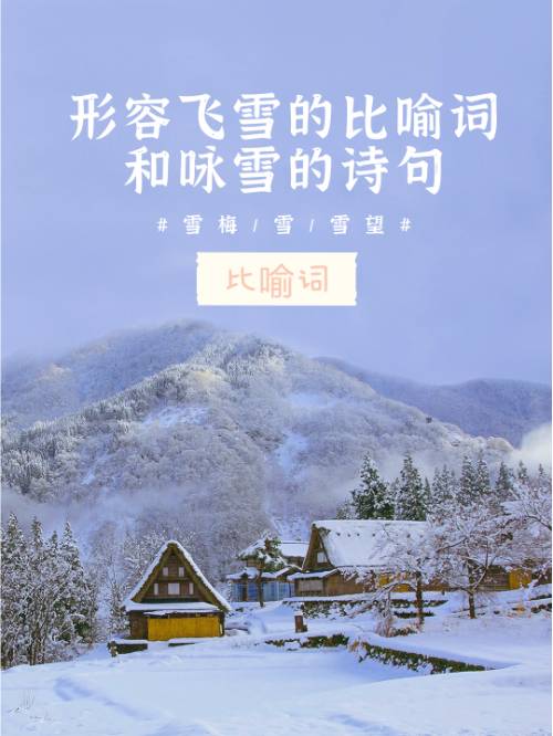 白服相关的词语是什么