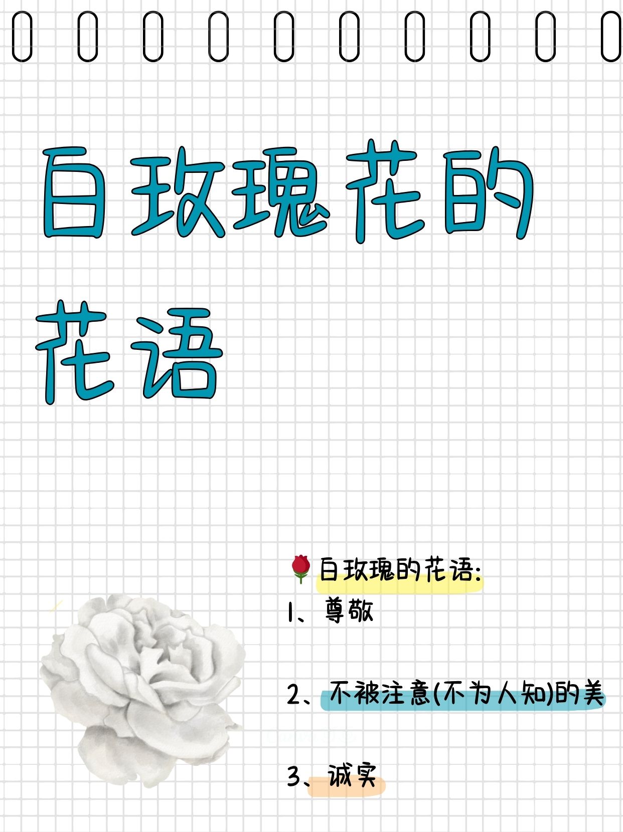 白玫瑰代表什么意思意思