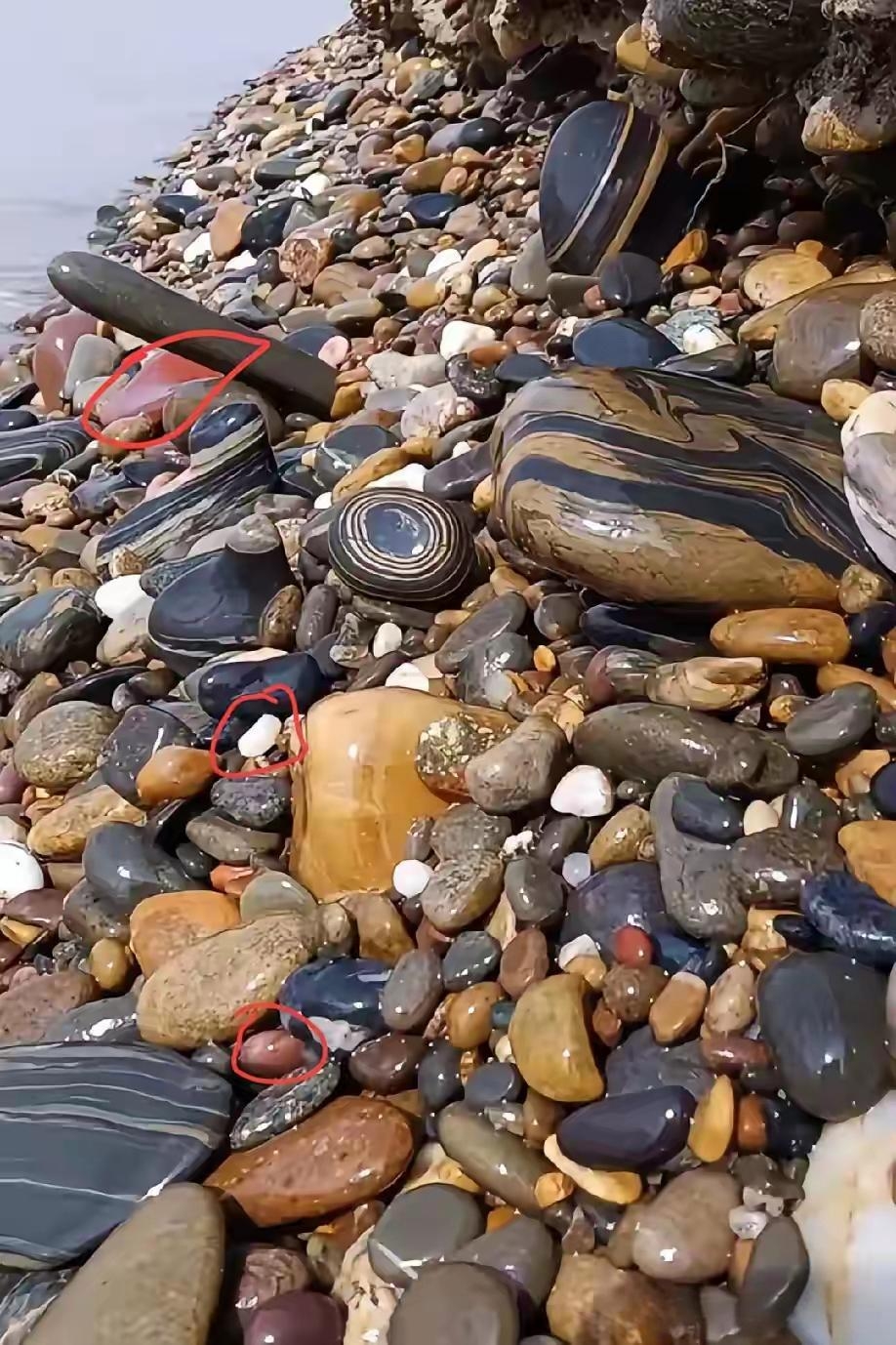 河里捡的最忌讳石头有哪些