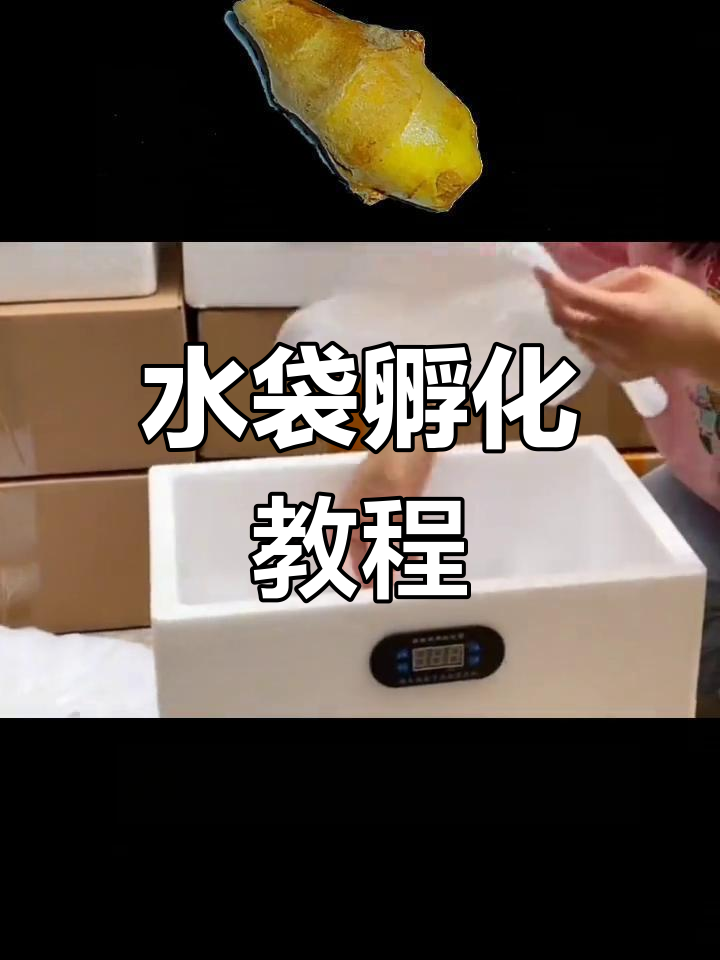 自己制作简易孵化箱的步骤