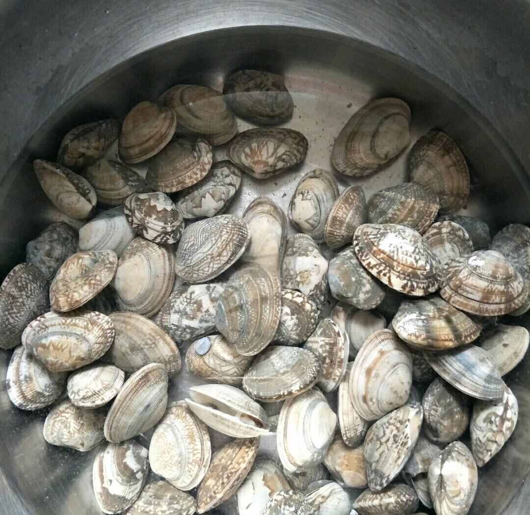 花蛤吐沙最快的方法是什么