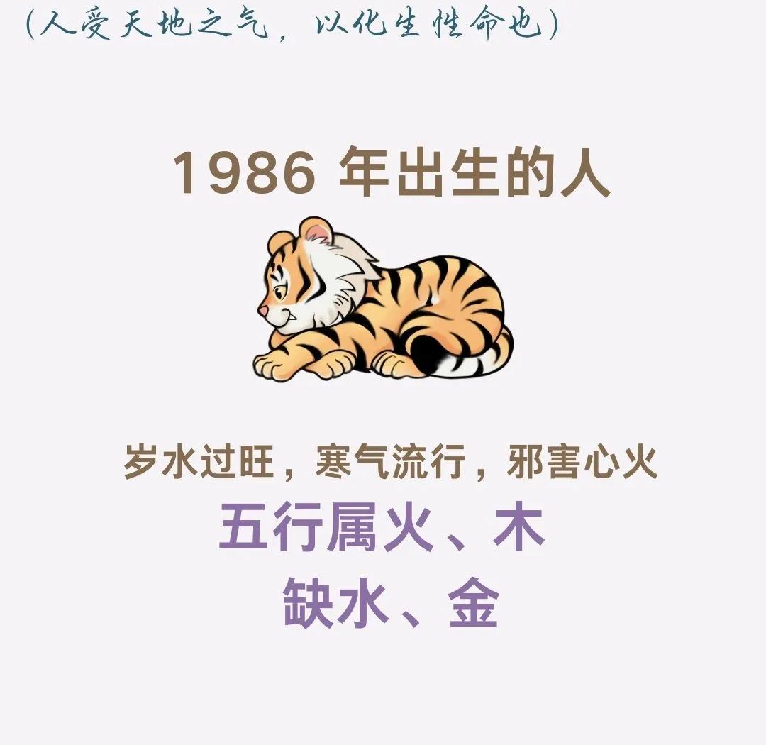 1980年五行属什么
