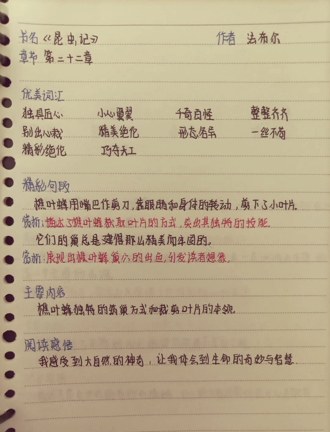 读书笔记摘抄大全20篇