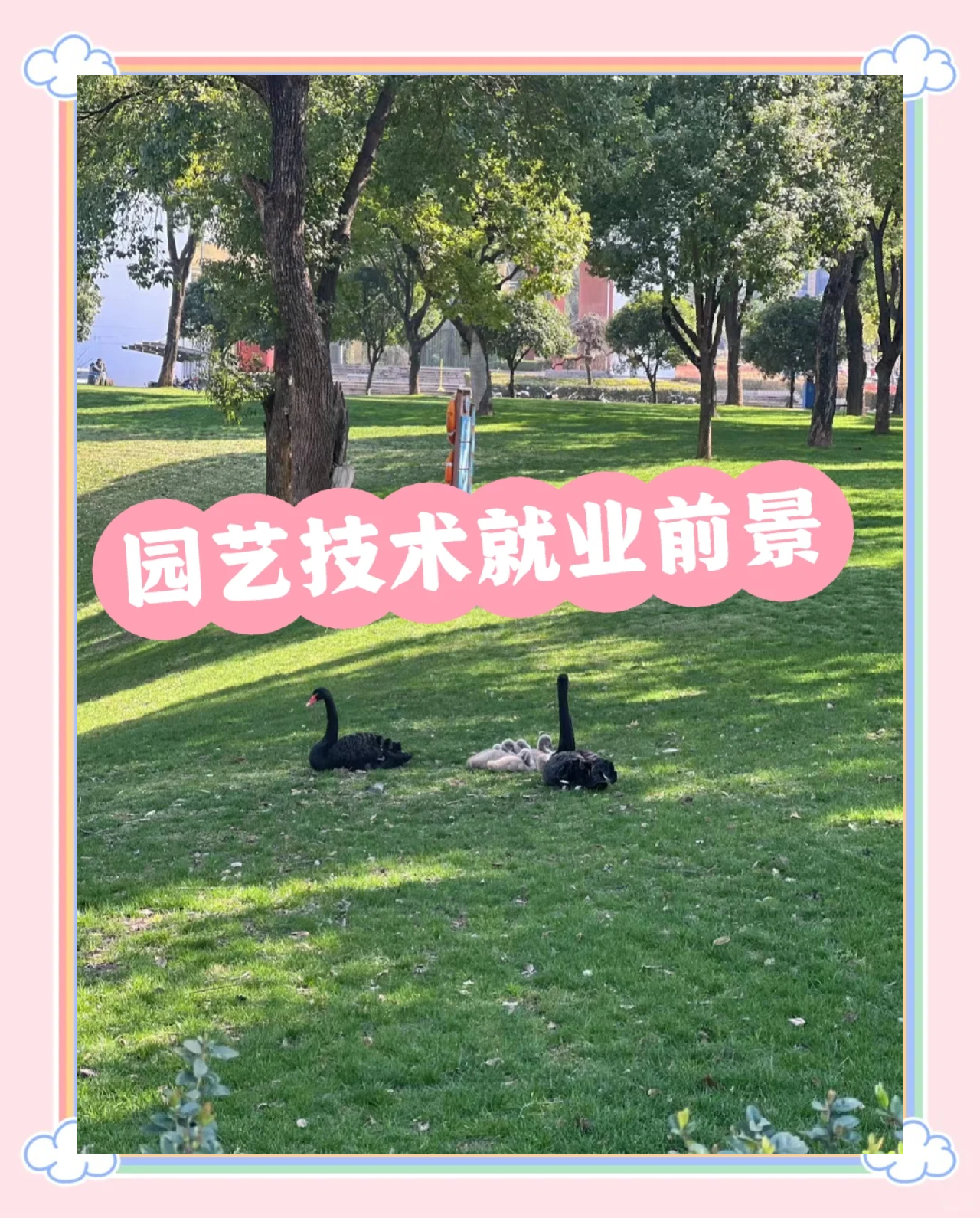 园艺技术专业主要学什么