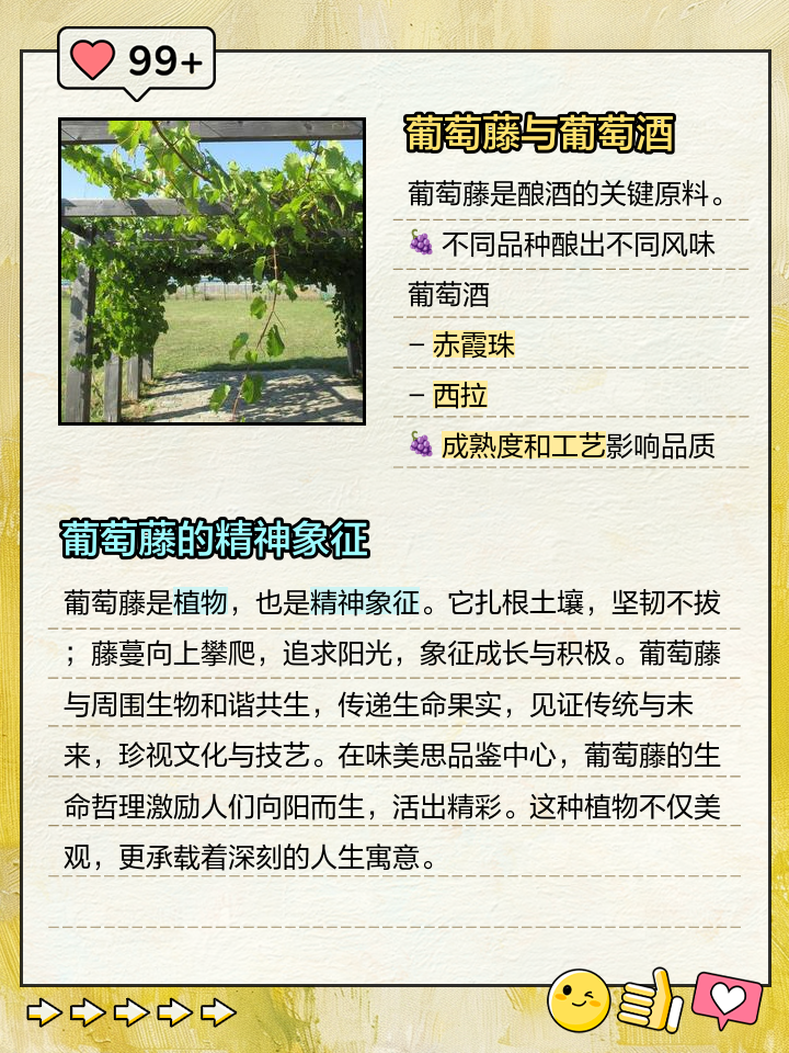 葡萄种植最早属于哪个朝代