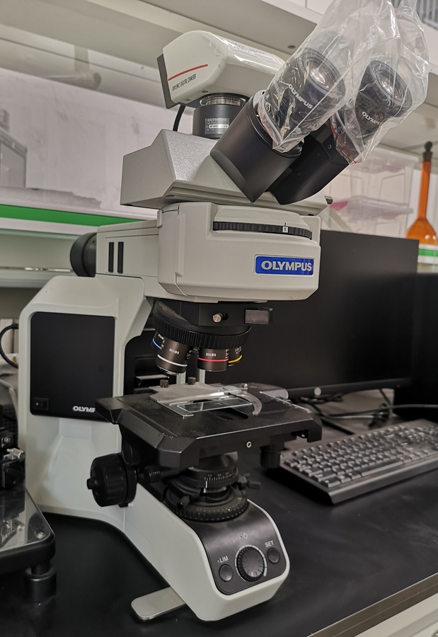 光学显微镜是什么东西