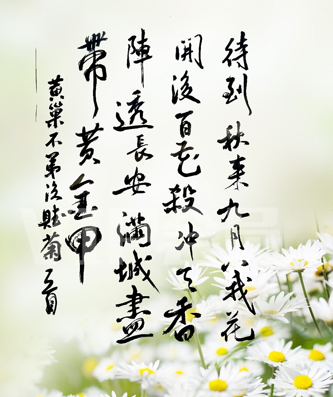 不是花中偏爱菊的全诗是什么