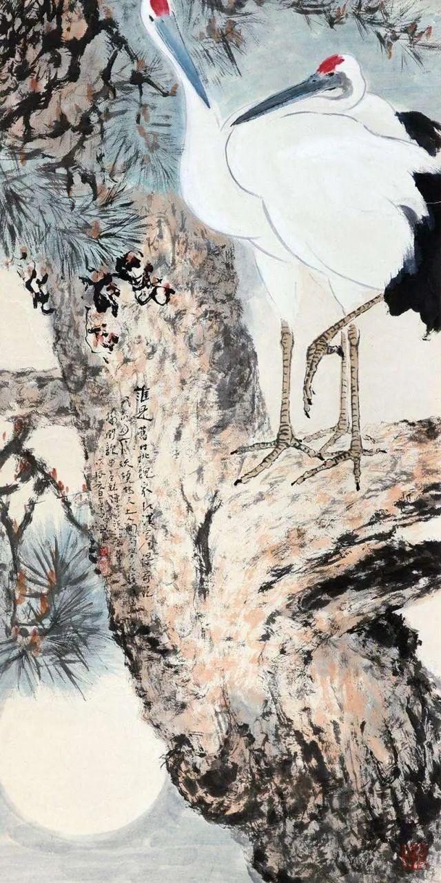 闲云野鹤的意思是什么指什么生肖