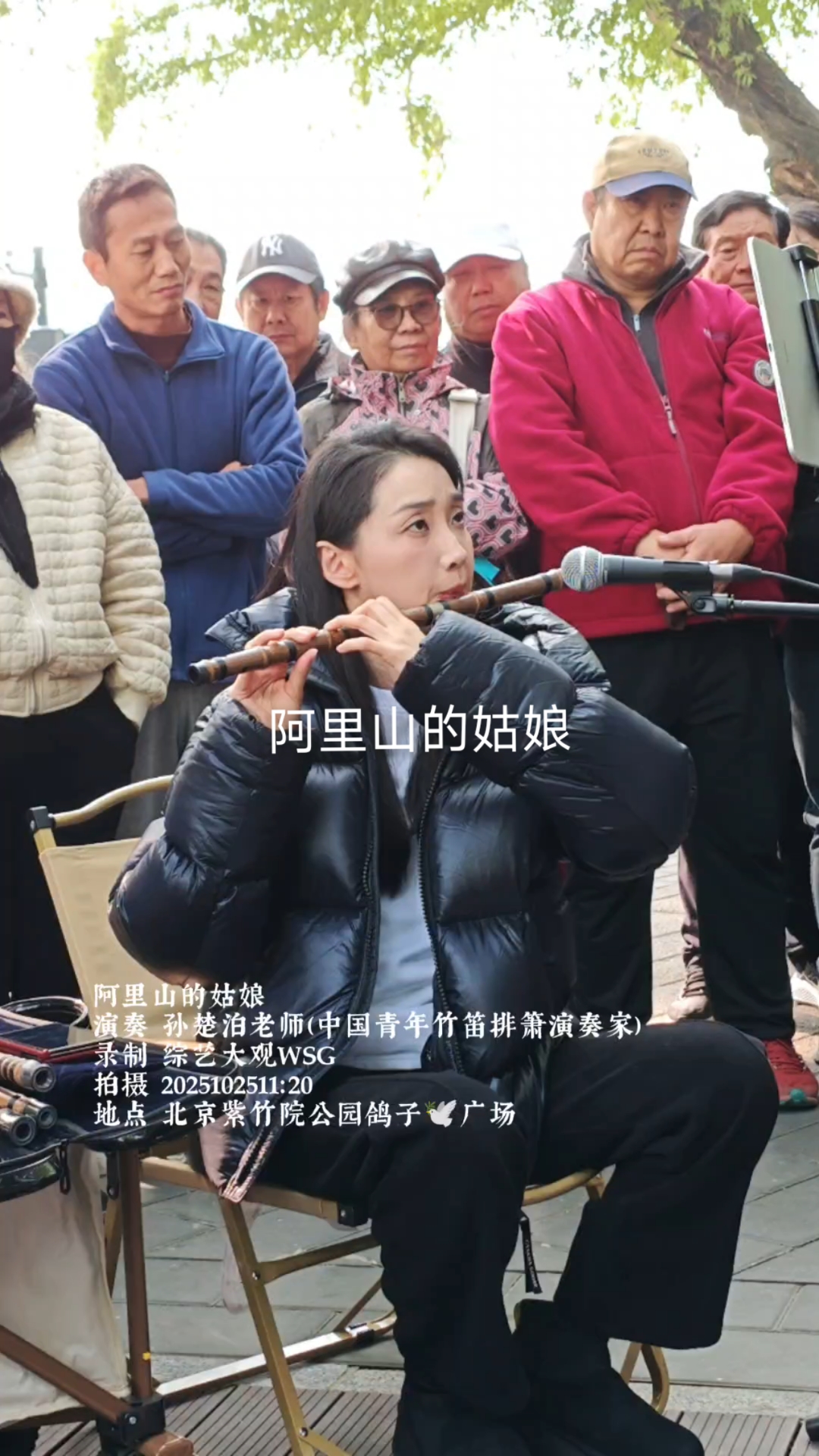 阿里山的姑娘最早原唱