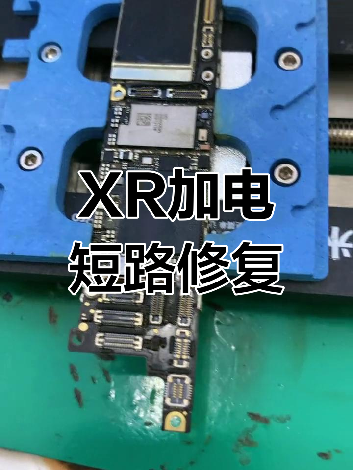 2025年12月8日 第31页