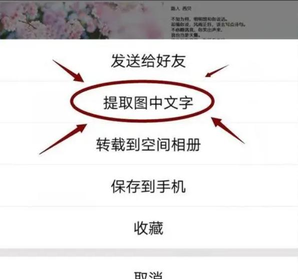 怎么用微信提取图片中的文字