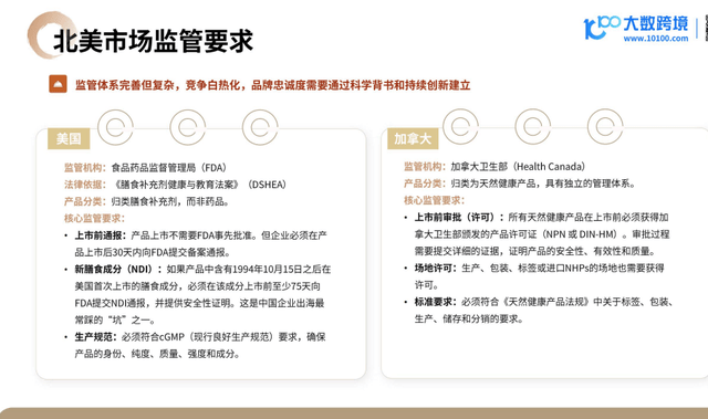 上市公司年报查询指南:掌握信息披露的黄金窗口