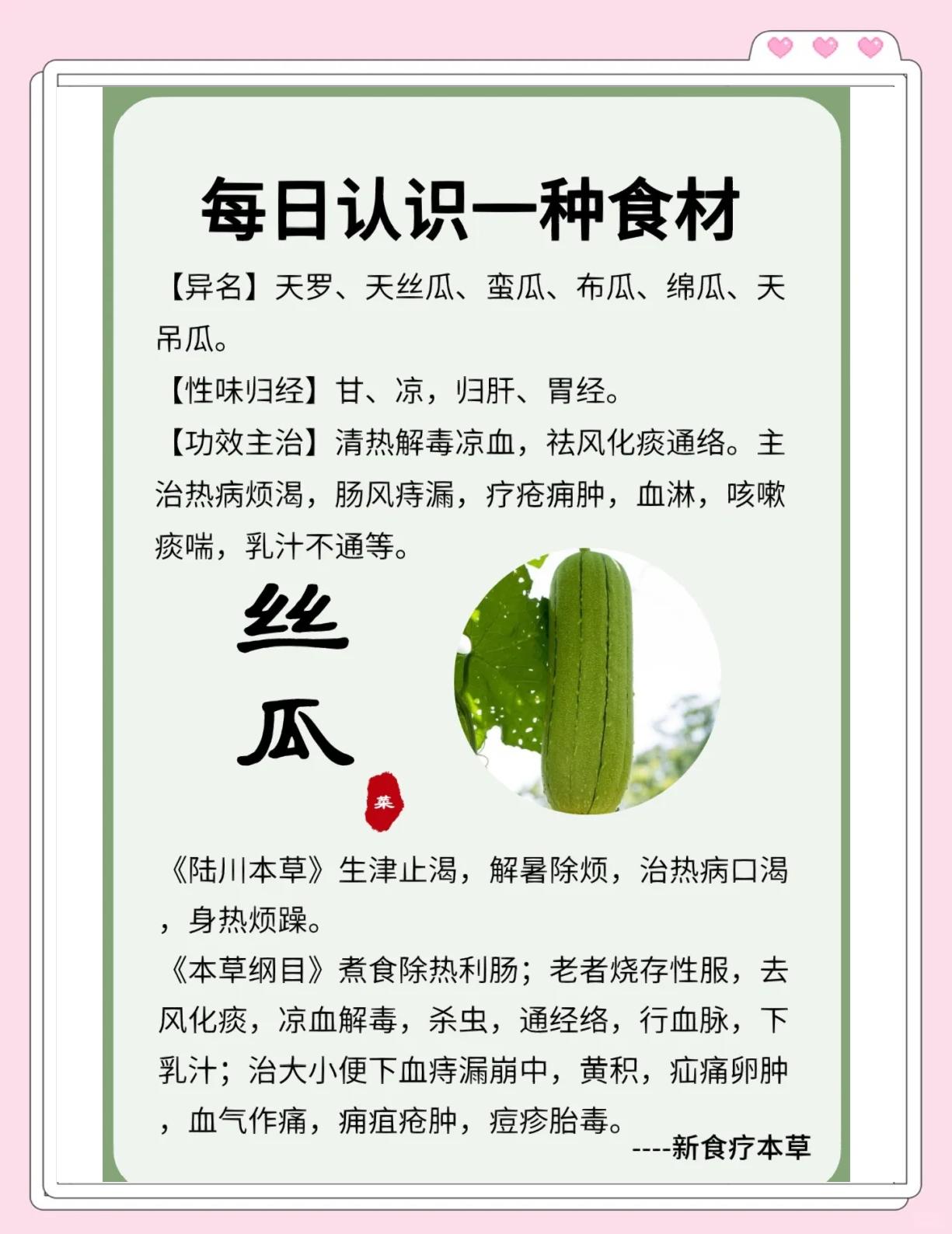 丝瓜叶有什么功效与作用