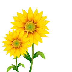 微信怎么设置动态背景微信怎么设置动态背景